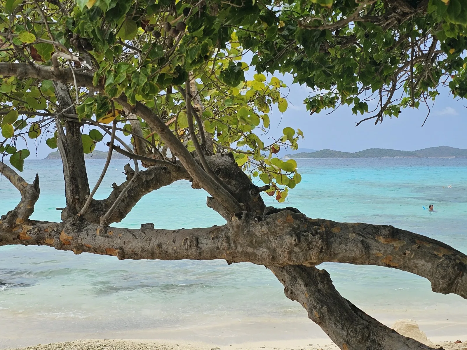 Best St Thomas Beach for you!